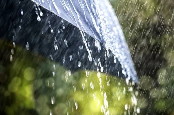 guarda chuva em dia de chuva