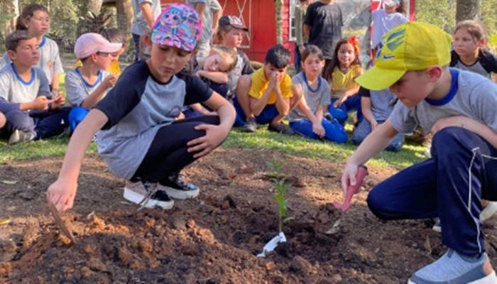 Exemplos De Projetos De Educação Ambiental – Só Escola