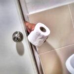 História do papel higiênico
