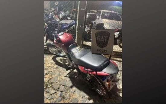 Homem disse que pagou R$ 120 pela placa. — Foto: Guarda Civil de Ponta Grossa